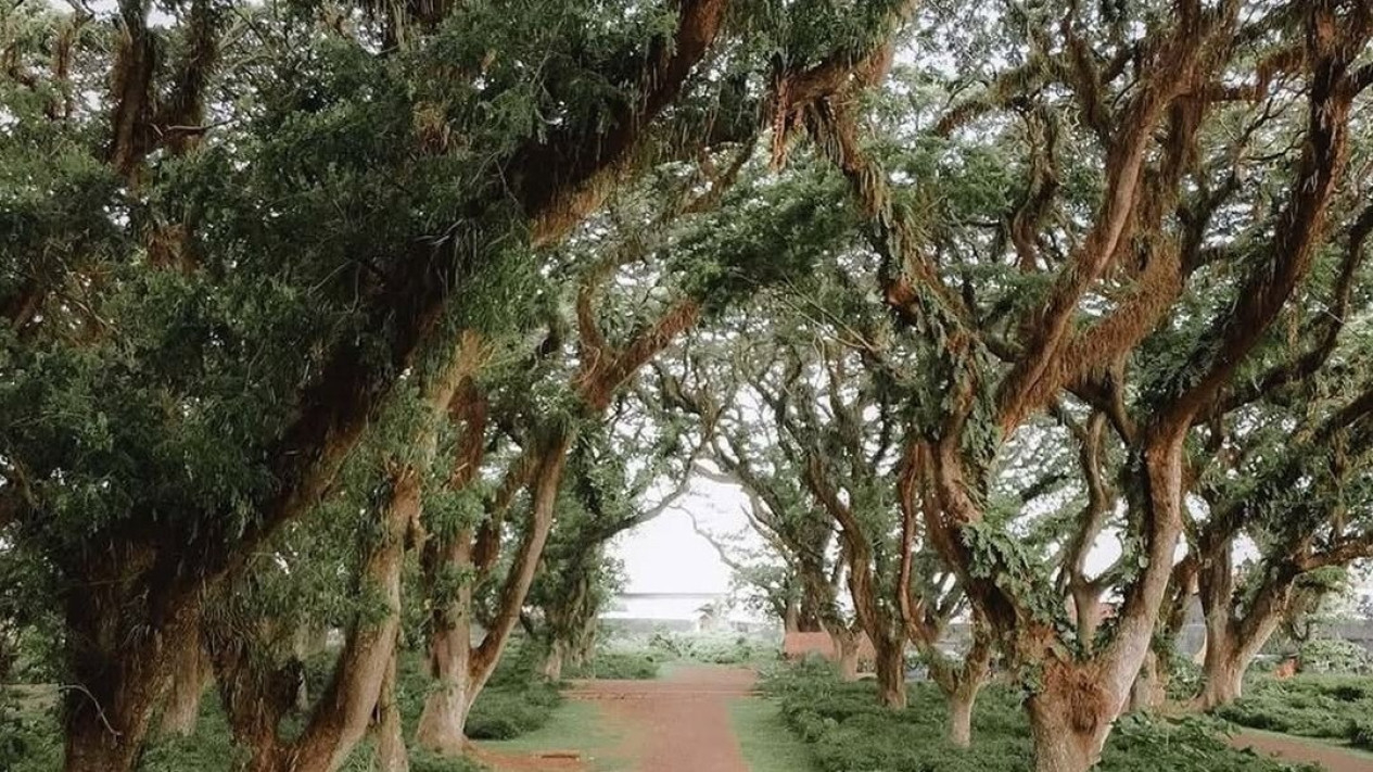 Jawatan Benculuk Banyuwangi