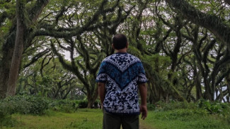Menikmati Eksotisnya Hutan Trembesi 
