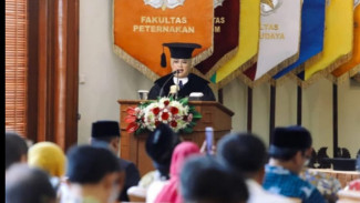 UGM: Gama Umami, Rumput Gajah Unggul Hasil Mutasi Penelitian Fapet UGM