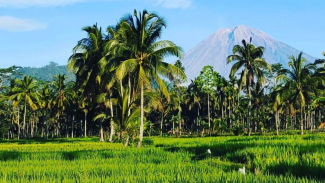 Gunung Wayan Sumber Wuluh