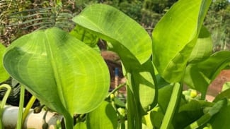 Photo Mini 5