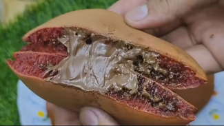Pancake dengan Isian Cokelat Favorit Anak-anak