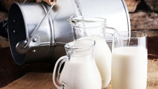 Susu murni Susu murni