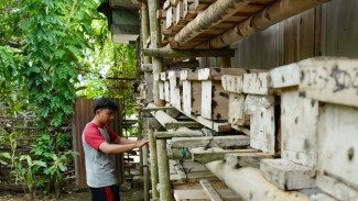 Andri Fahruzi dan Rumah Lebah
