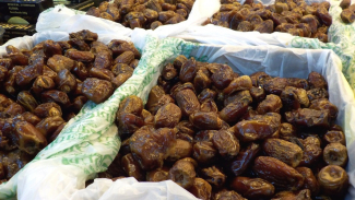 Buah Kurma Buah Kurma