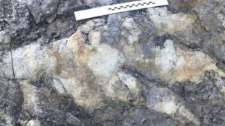 Jejak Kaki Dinosaurus Jejak Kaki Dinosaurus