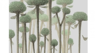 Hutan paling awal di bumi terungkap dalam fosil di Somerset, Inggris