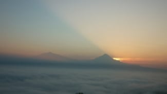 Photo Mini 2