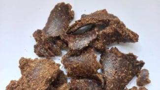 Biji Nyamplung Diolah Jadi Pakan Ternak Ruminansia Biji Nyamplung Diolah Jadi Pakan Ternak Ruminansia