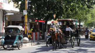 Kuda Penarik Andong Jalani Pemeriksaan Kesehatan Kuda Penarik Andong Jalani Pemeriksaan Kesehatan