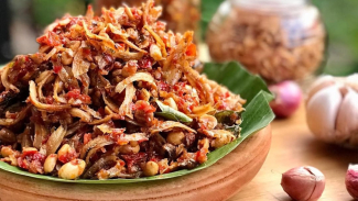 Teri Balado Teri Balado