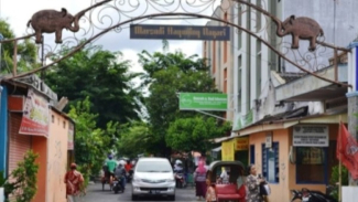 Article