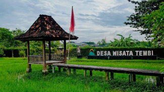 Photo Mini 2