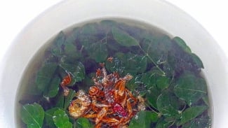 Photo Mini 2