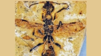 Article