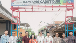 Article