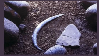 Bumerang Gading Mammoth Berusia 40.000 Tahun adalah yang Tertua di Eropa dan Mungkin di Dunia