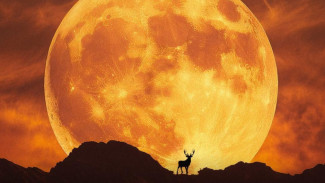 Mengenal 5 Aktivitas Spiritual yang Bisa Dilakukan Saat Buck Moon, Bulan Purnama Penuh Energi!