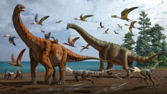 Spesies Baru Dinosaurus Sauropoda Raksasa Ditemukan di Tiongkok