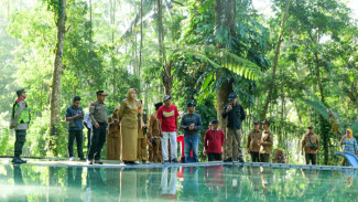 Gak Pake Tiket Masuk, Sumber Randu Pinus Jadi Wajah Baru Wisata di Lumajang, Jawa Timur