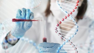 Bagaimana DNA Mengidentifikasi Korban Bencana Massal?