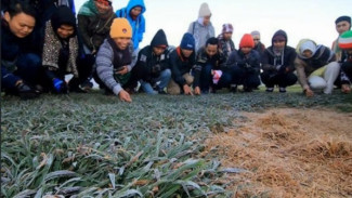 Rahasia Dieng! Mengapa Semua Orang Rela Dingin-dingin Demi Keajaiban Alam dan 
