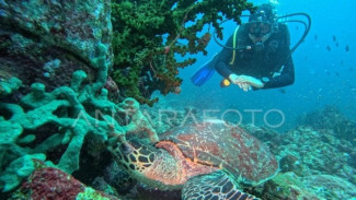 Pariwisata Hijau Jadi Janji RAPBN 2026, Tren Global atau Sekadar Retorika?