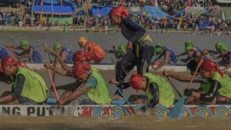 FESTIVAL PACU JALUR 2025: Pecahkan Rekor, 228 Jalur Berlaga di Tepian Narosa, Riau