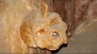 Tengkorak Hominin Misterius yang Ditemukan pada Tahun 1960 Diperkirakan Berusia 286.000 Tahun