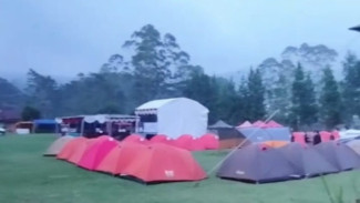 Festival Domba Sakub Brebes 2025: Perebutkan Piala Bupati, Hadirkan Glamping Eksklusif di Kebun Teh Kaligua