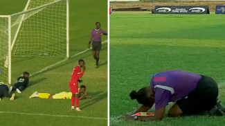 Kacau! Ribuan Lebah Serbu Lapangan, Pemain Sepak Bola Tiarap Masal di Tanzania