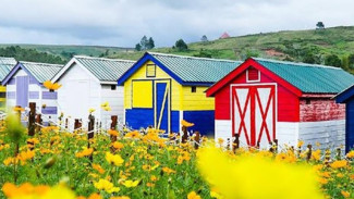 Kebun Madu Efi di Karo-Sumut: Wisata Bunga & Lebah yang Instagramable dan Edukatif