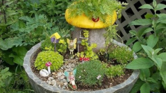 6 Cara Cerdas Memanfaatkan Pot Rusak di Kebun Anda