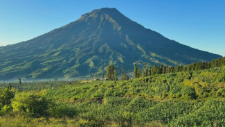 Wisata Alam Posong Temanggung: Surga di Lereng Sindoro yang Lebih dari Sekadar Foto dan Glamping!