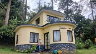 Villa Eucalyptus Coban Rondo: Forest Bathing dan JOMO di Jantung Hutan Malang