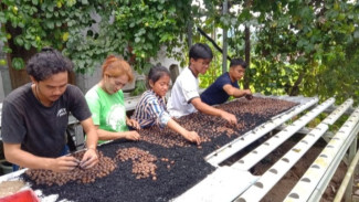 Perjuangan Tanpa Lelah Mimin Nyidewi, Srikandi Hijau yang Jadi Penjaga Terakhir Vatica Javanica