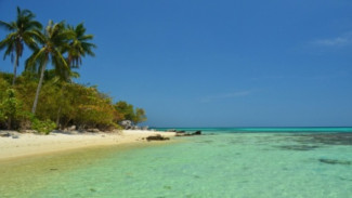 7 Surga Tersembunyi Karimunjawa: Keindahan Alam, Pantai, dan Bawah Laut yang Bikin Tak Ingin Pulang