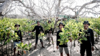 Ledakan Green Jobs di Pariwisata Indonesia: Era Baru Lapangan Kerja Ramah Lingkungan Dimulai!