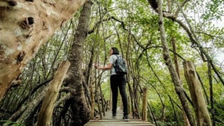 Green Tourism Indonesia: Ketika Pemandu Wisata dan Energi Terbarukan Jadi Kunci Masa Depan
