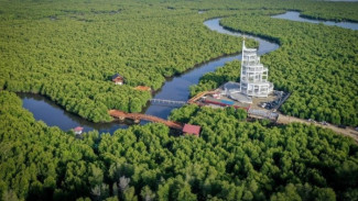 Revolusi Hijau di Dunia Wisata: Indonesia Siap Ciptakan Jutaan Green Jobs Berkualitas
