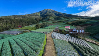 Desa Sukomakmur: Keindahan Alam di Kaki Gunung Sumbing yang Seperti Lukisan