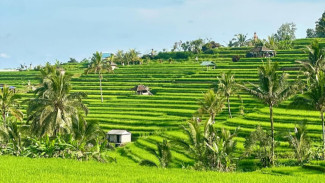 Bali Terlempar ke Peringkat 6, Phu Quoc Vietnam Dinobatkan sebagai Pulau Terindah di Asia 2025