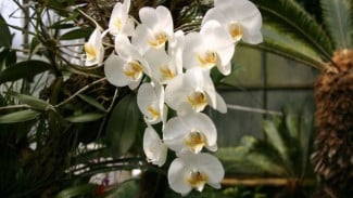 Photo Mini 3