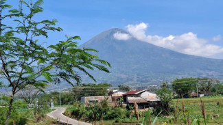 Komoditas Unggulan Kopi dan Gula Aren dari Desa Ketintang Temanggung yang Berpotensi untuk Wisata Edukasi