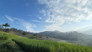 DUSUN DEPOK, Pesona Wisata Alam dan Budaya di Desa Tlogowungu, Kecamatan Kaloran, Temanggung, Jawa Tengah