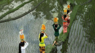 Wisata Spiritual Bali: Merayakan Hari Raya Galungan 2025 di Pusat Tradisi Pulau Dewata