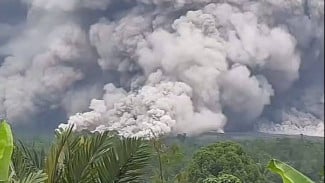 Erupsi Gunung Semeru 2025: Kolom Abu 2.000 Meter, Awan Panas 7 Km, Status Siaga