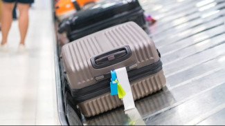 Kesalahan Kecil dalam Perjalanan Ini Bisa Membawa Kutu Busuk Pulang Setelah Perjalanan