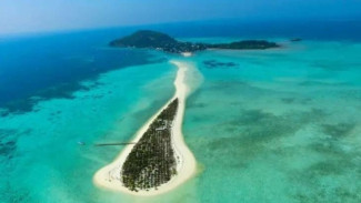 Ekowisata Pulau Bawean, Pesona Konservasi dan Benteng Keanekaragaman Hayati di Jawa Timur