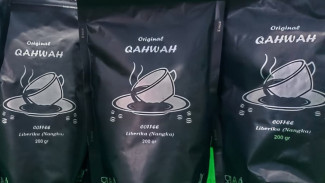 CERITA KOPI: Original Qohwah Jaga Liarnya Rasa Kopi Liberika dari Tanah Vulkanik Lumajang, Jawa Timur